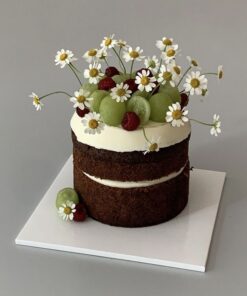 Cacao Sữa Trái Cây